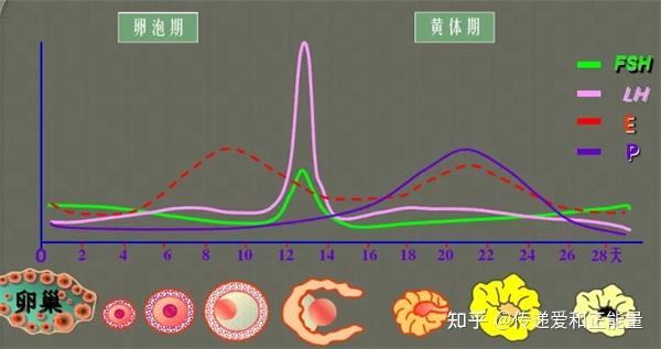 lh和gm是什么钢材
