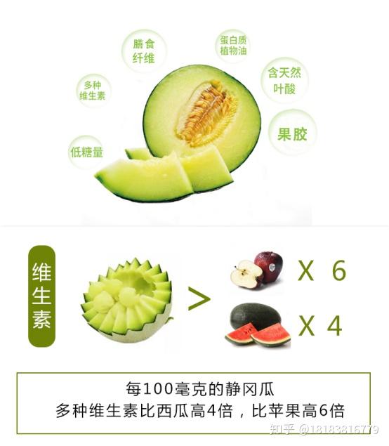 云南长耕静冈蜜瓜