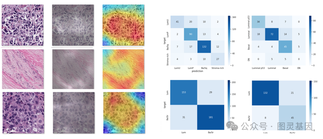 国内首款掌上数字切片扫描仪亮相北京国家会议中心全国病理年会读片会