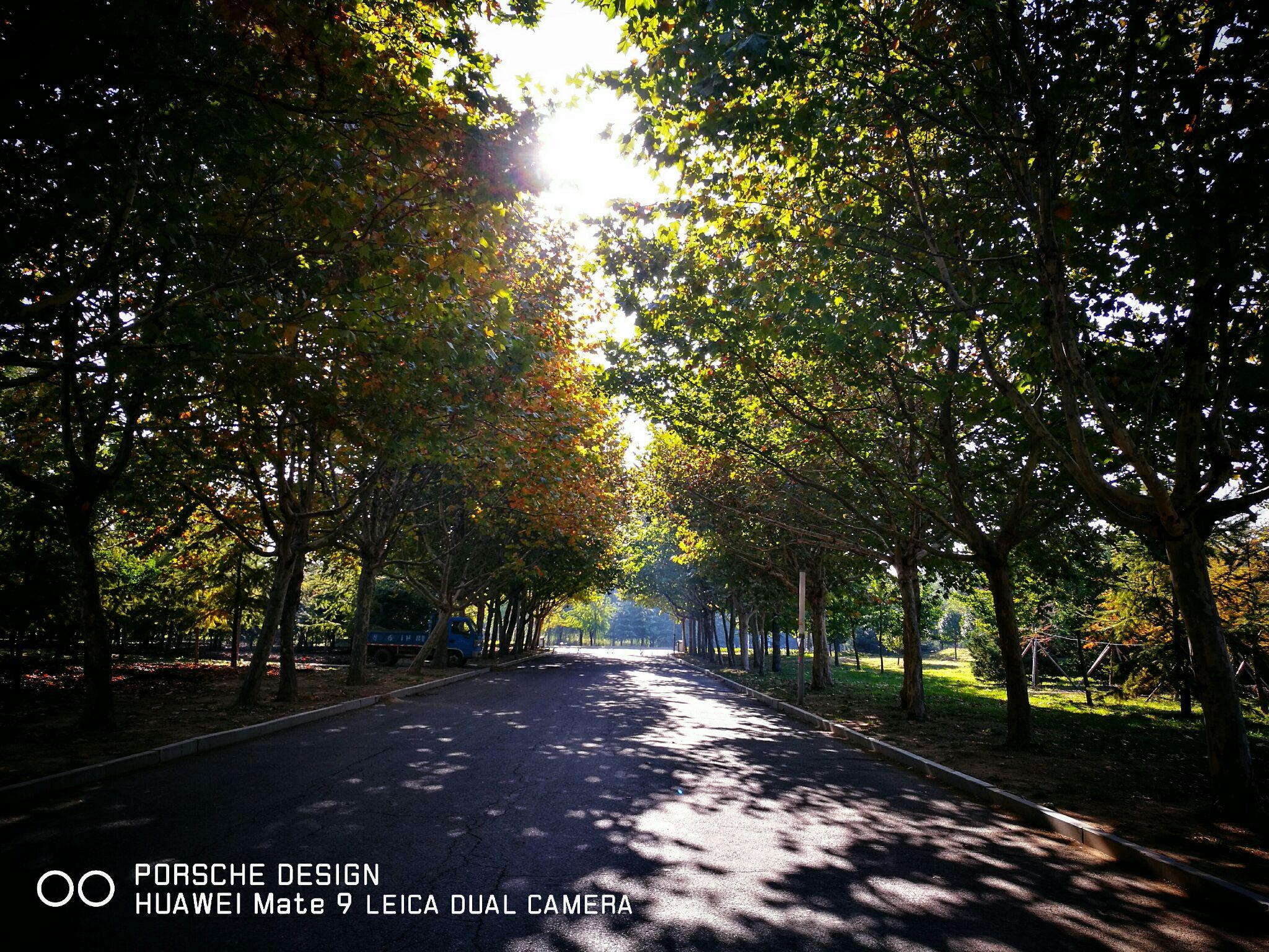 如何看待华为正式超越苹果,拿下国产第一,世界