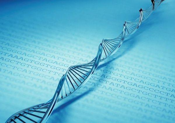 v2-2a618858d87b6cd22b429442a16f38d9_1440w.jpg?source=172ae18b