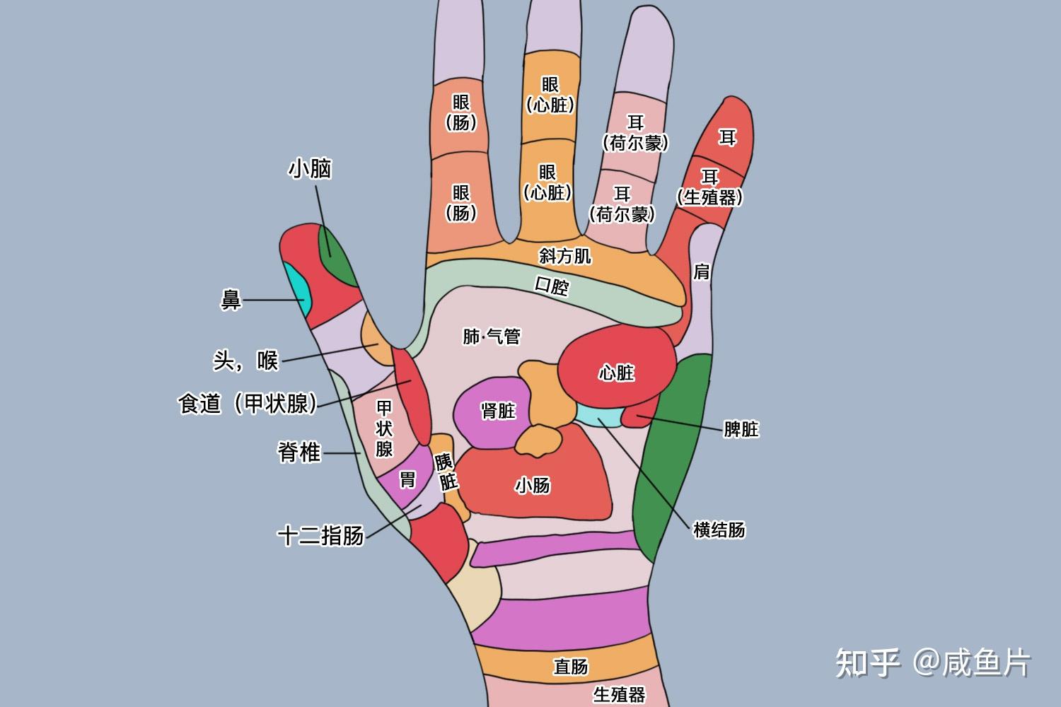“十个胃病九个寒”畏寒有哪些症状表现?如何驱赶体内的胃寒? - 知乎