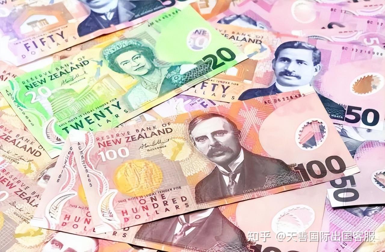 新西兰货币,新西兰货符号,新西兰兔_大山谷图库