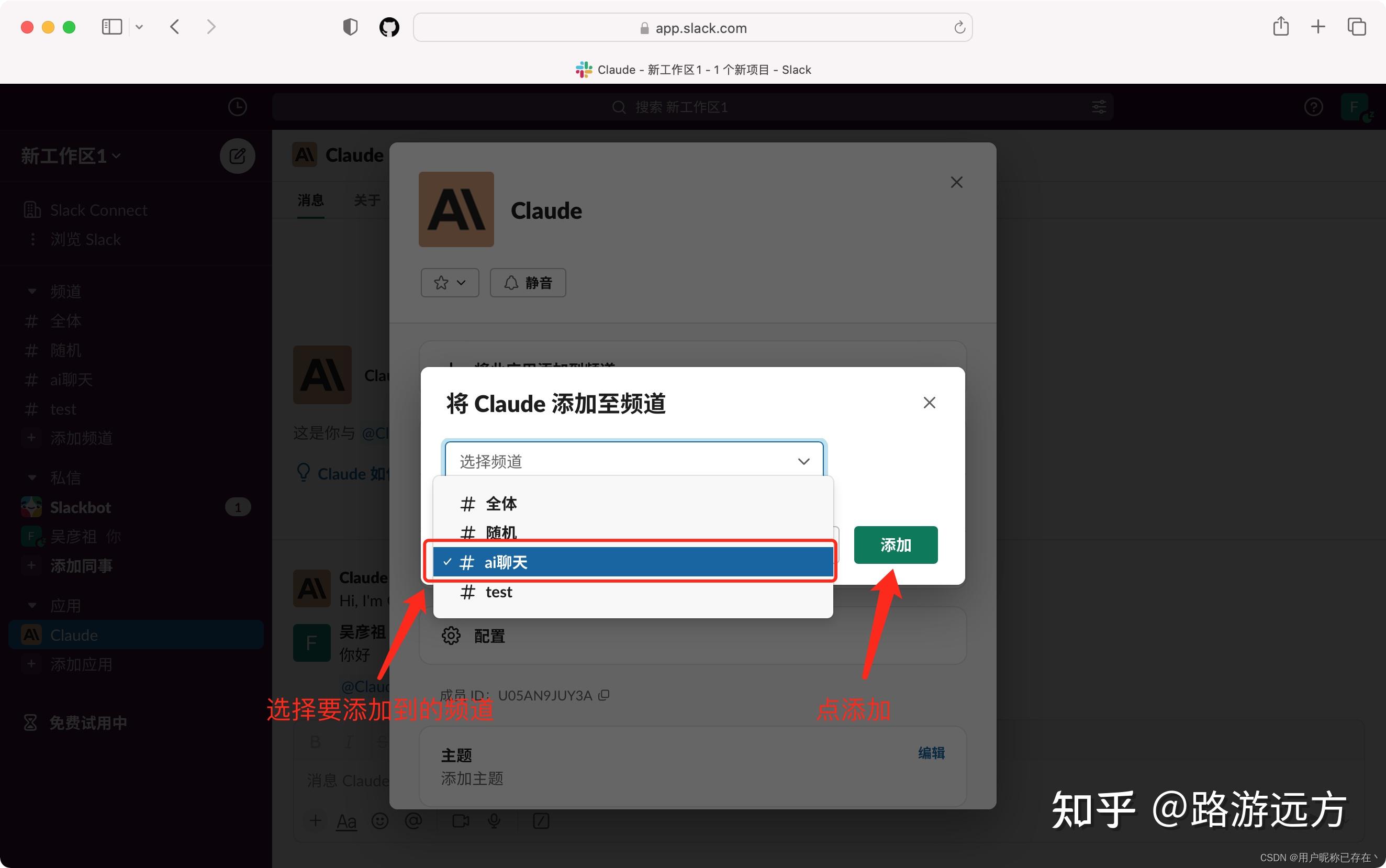  claude claude api 