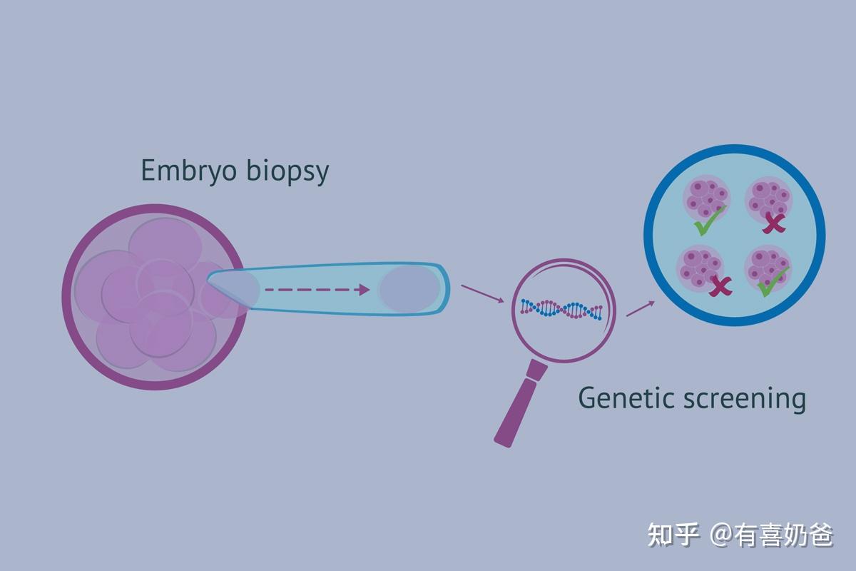 我想知道试管婴儿的原理(我想知道试管婴儿的原理英语)-第2张图片-鲸幼网