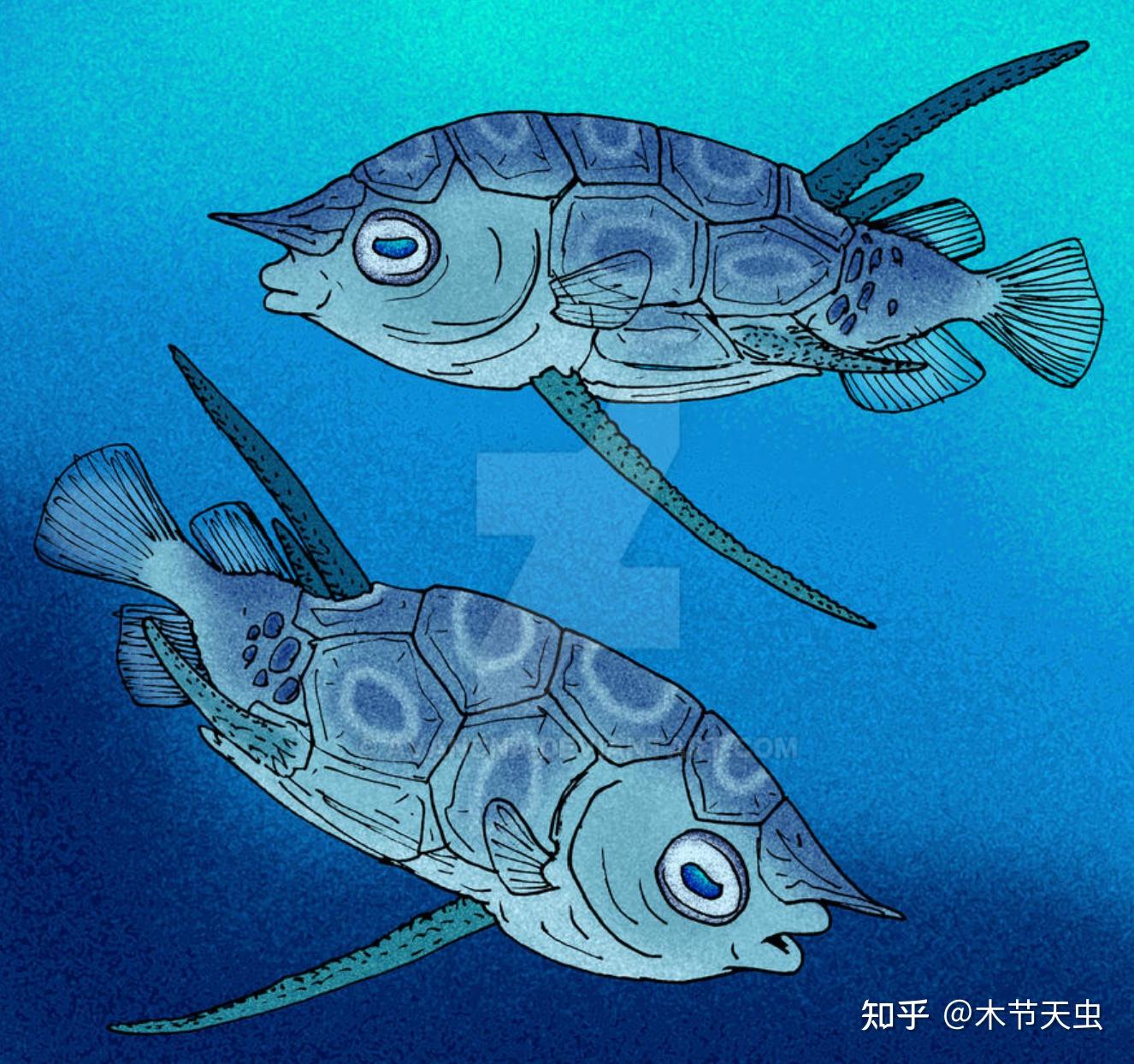 【鲀形目的演化史·其一】刺鲀,箱鲀,河鲀,鳞鲀 - 知乎