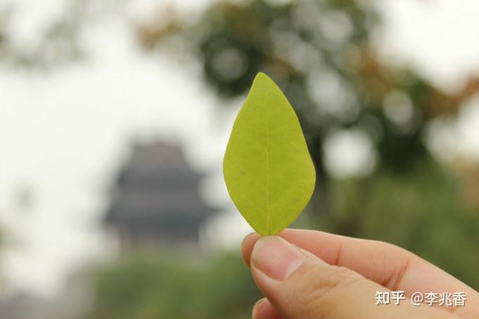 让人坚强的网名昵称，人生励志的网络名字 - 知乎