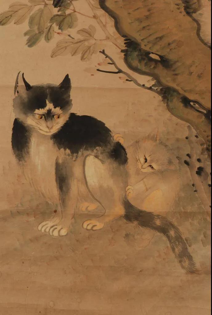 民国   张晖《双猫牡丹图轴》局部成都博物馆藏清蒋廷锡的《花猫图轴