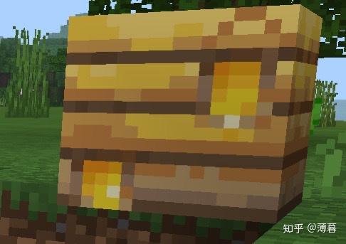 Minecraft生存指南 蜜蜂特辑 我的世界养蜂攻略 恩芝网