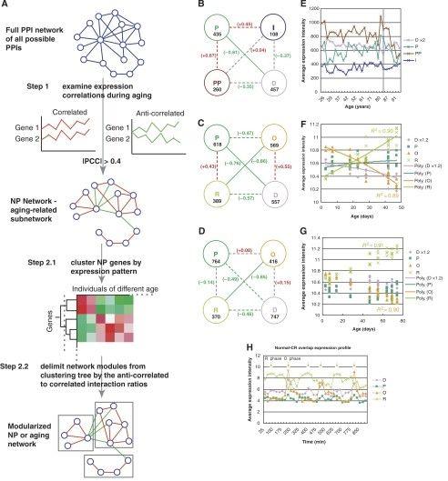 此外,通过开发计算系统生物学算法,韩教授课题组还首次成功构建了衰老