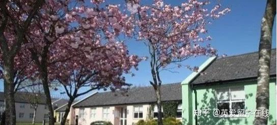 爱尔兰高威大学的校内宿舍2023年2月开放预订,先了解下学校的校内宿舍吧! - 知乎