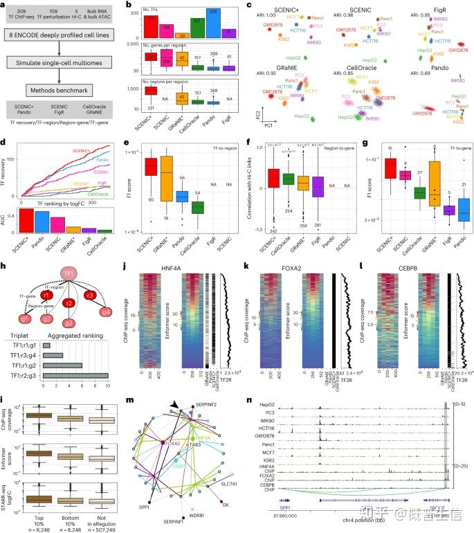 Nature Methods增强子介导基因调控网络分析利器SCENIC+ - 知乎