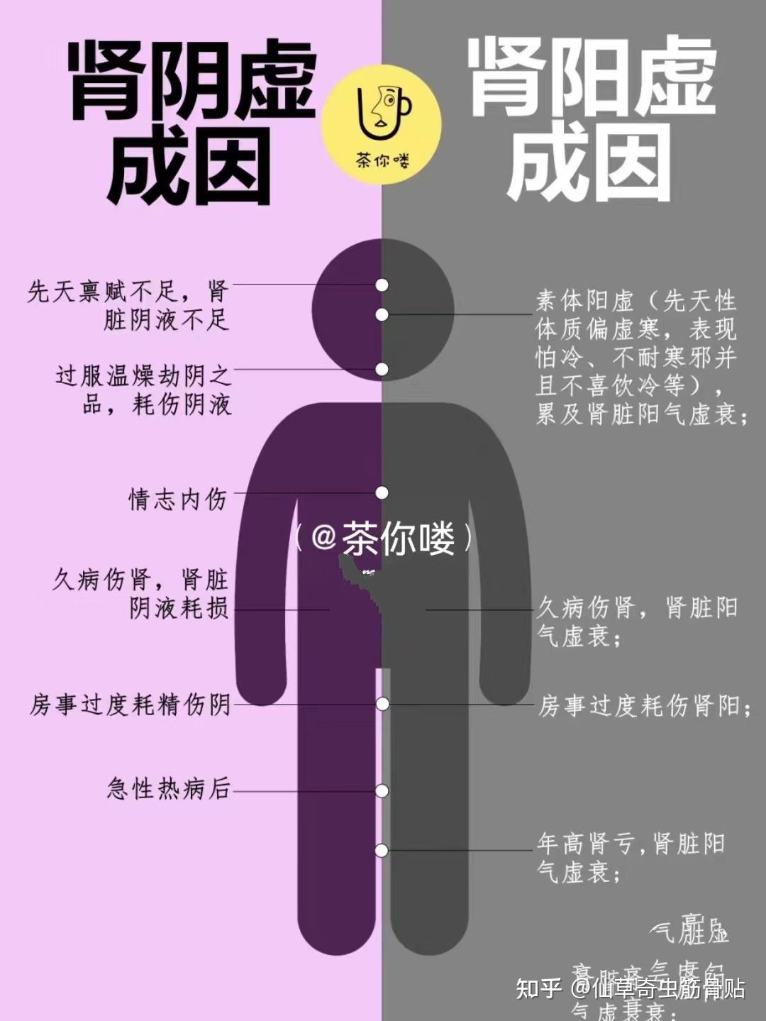 肾阴虚是什么?怎么判断?如何恢复? - 知乎
