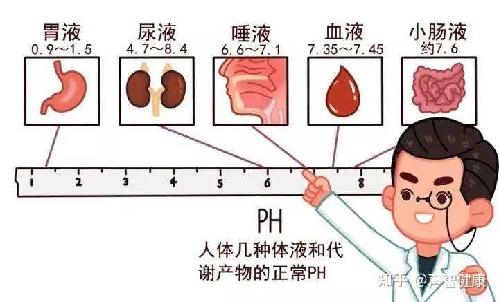 一女子火锅配奶茶致碱中毒!上吐下泻、四肢麻木,不及时治疗或猝死 - 知乎