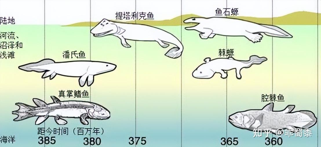 50种动物的进化史|也是我们的反思史 - 知乎