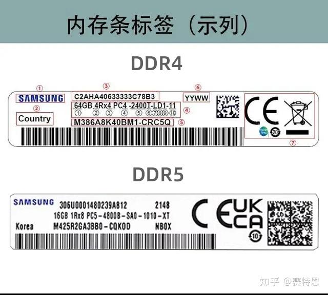 内存条图片解析图片