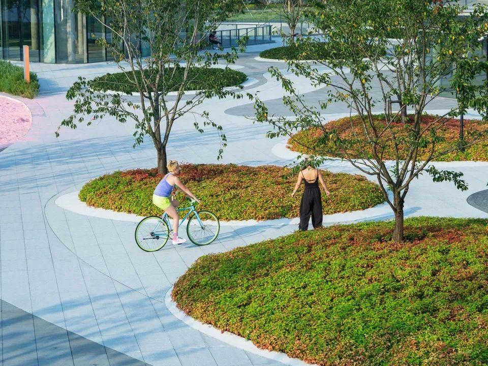 上海前滩休闲公园改造提升:打造"滩玩岛"生态亲子乐园