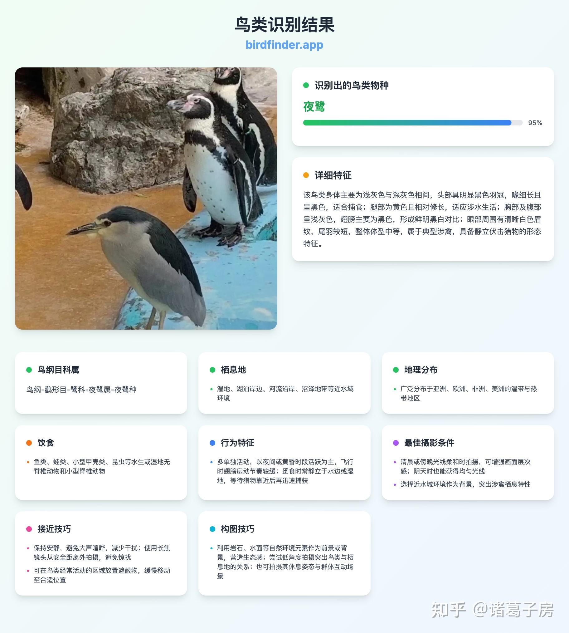 识鸟——在线鸟类识别网站 - 知乎