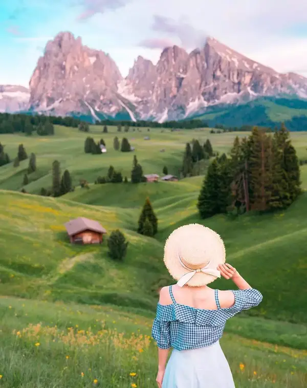 7月的花 7月份开的花 十二个月花的顺序