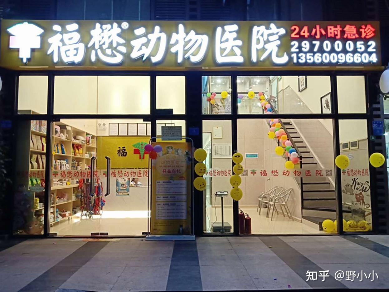 有人去过福懋宠物医院吗?新手养猫去宠物医院需要注意什么?