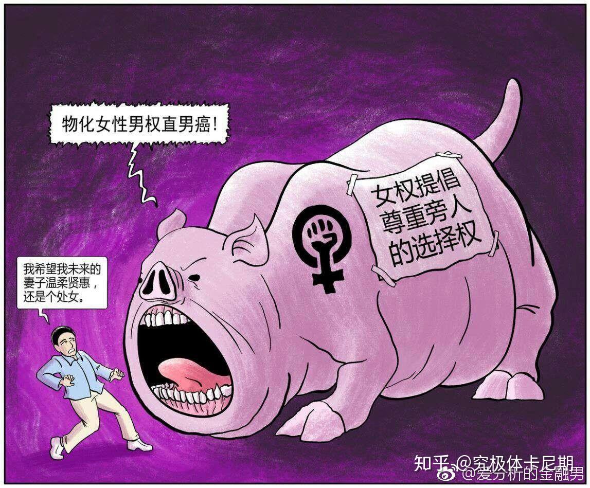 女权主义者的存在是互联网男女对立的重要原因