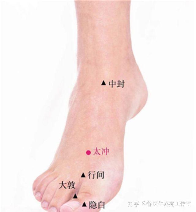大敦穴、太冲穴、行间穴,人体三大养肝穴位! - 知乎