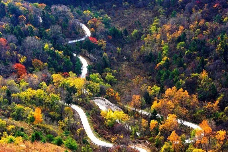 三秦秋实│陕西留坝县层林尽染秋意浓