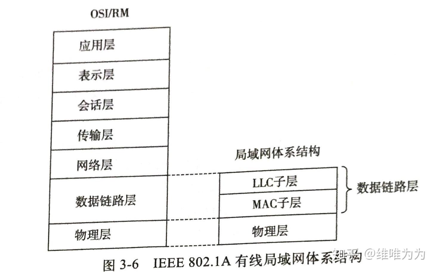 有线以太网体系结构