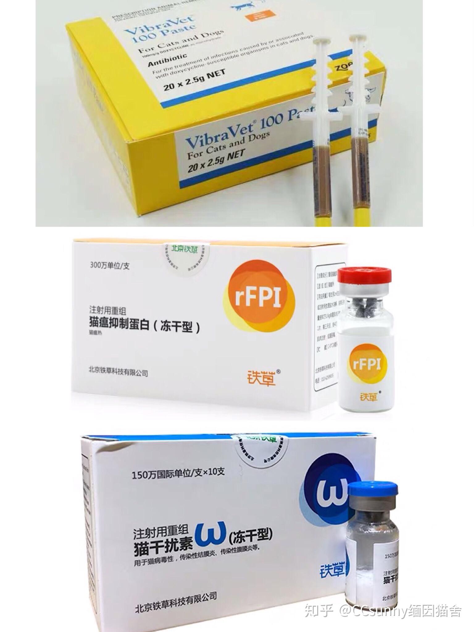 猫的常见病和治疗方法(请点赞!