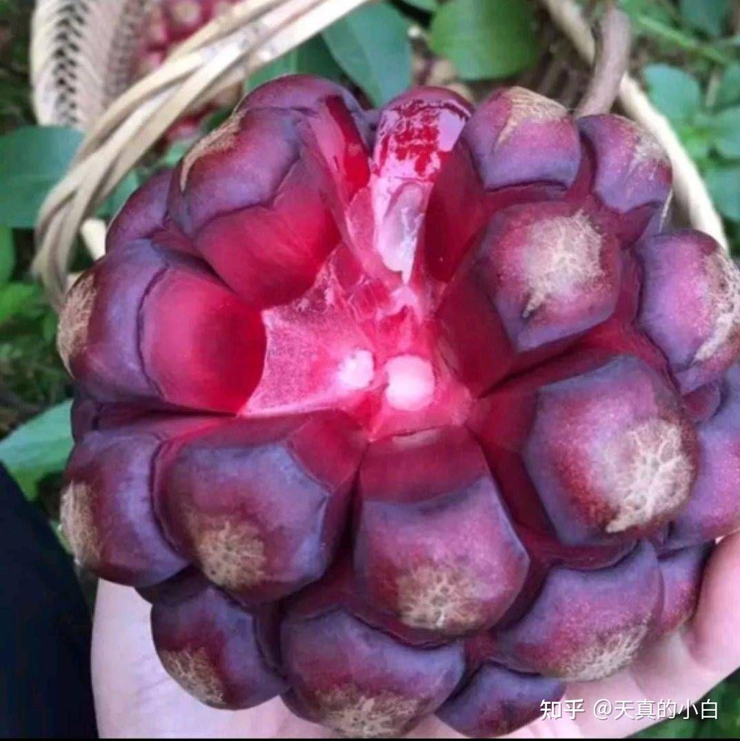 那些不常见的冷门水果你确定你吃过么