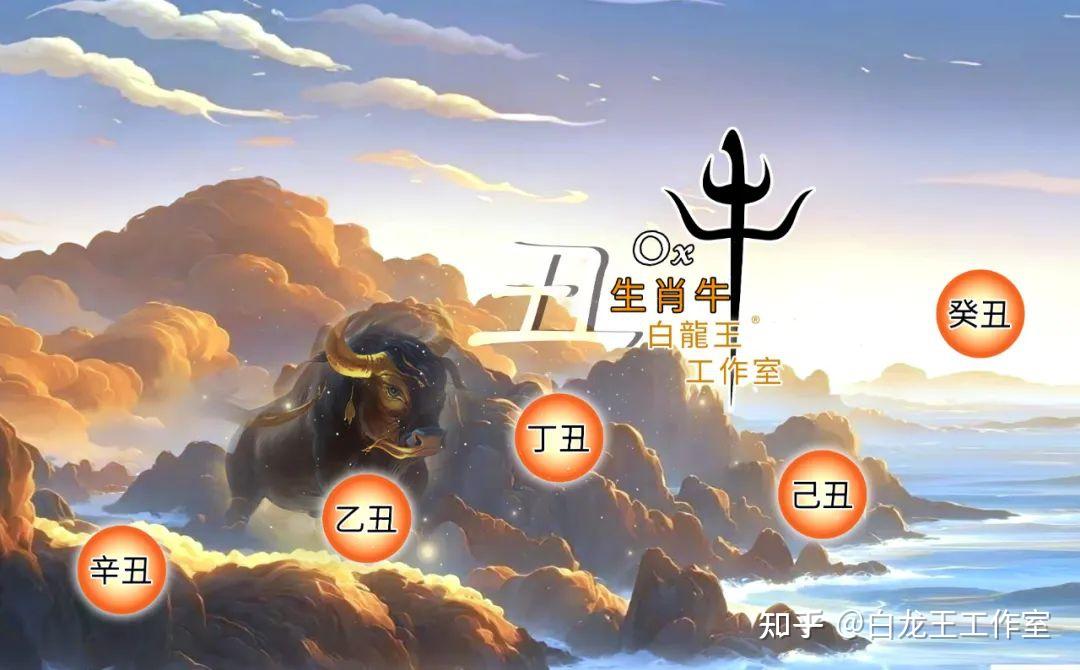 2025年各生肖运势知乎(2025年生肖运势运程)