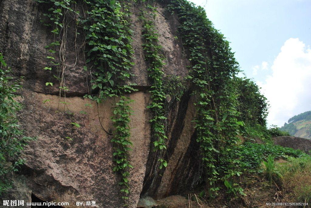 (部分资料引用自pvz2吧棚客的pvz大百科)