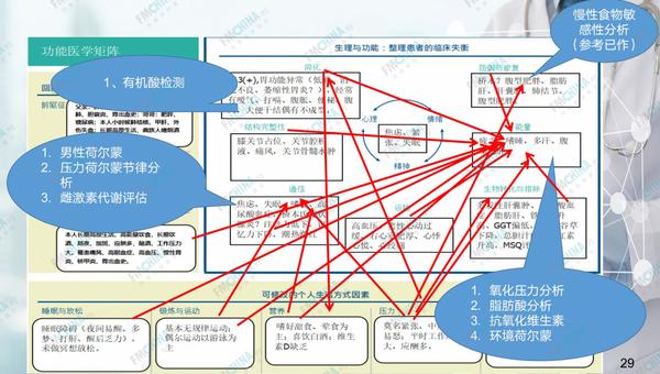 功能医学专业分享|慢性疲劳综合症的功能医学干预