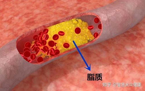 人体血液呈什么性_人的血液呈什么性质_血液性质是什么意思