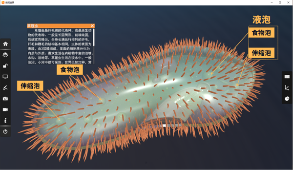 【高中生物】液泡知识大全，虚拟仿真资源自取！ - 知乎