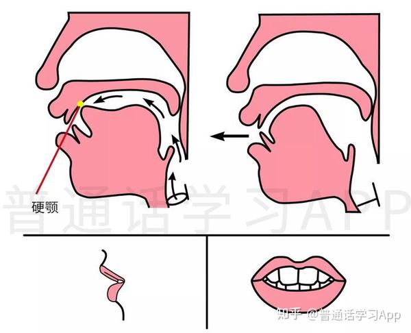 5个小妙招!专治你的平翘舌不分 - 知乎
