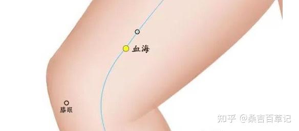 血海穴：调经统血，化血为气，女人都该知道的保健穴 ！ - 知乎