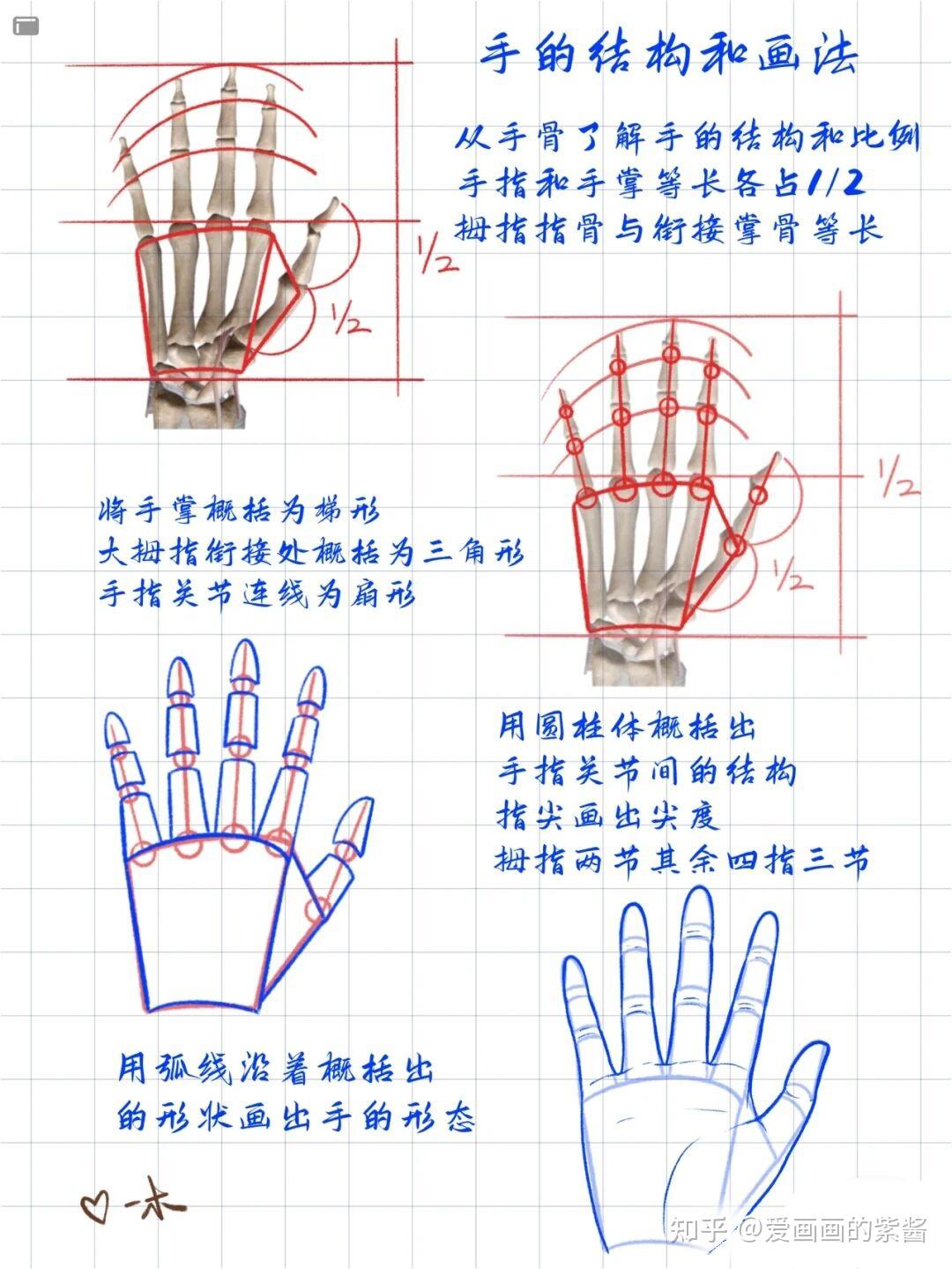 新手怎么学画画