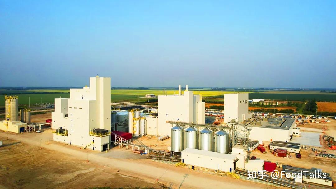 含立顿在内的全球茶业务,罗盖特旗下全球最大豌豆蛋白工厂正式投产