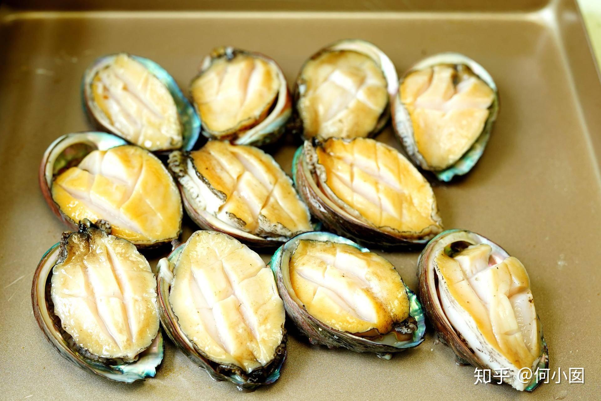 我比较喜欢吃鲍鱼,所以咱就来聊一个嫩烤鲍鱼吧,扇贝,生蚝,带子,青口