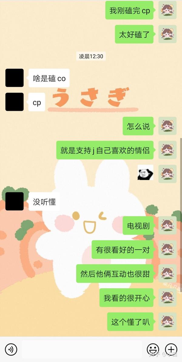 這是前幾天的聊天 他是斷網了嘛 咋不知道磕cp是什麼意思