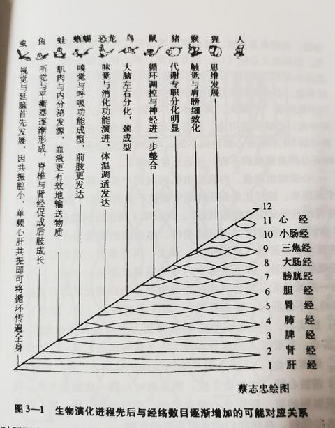 后文所述张教授,应为张