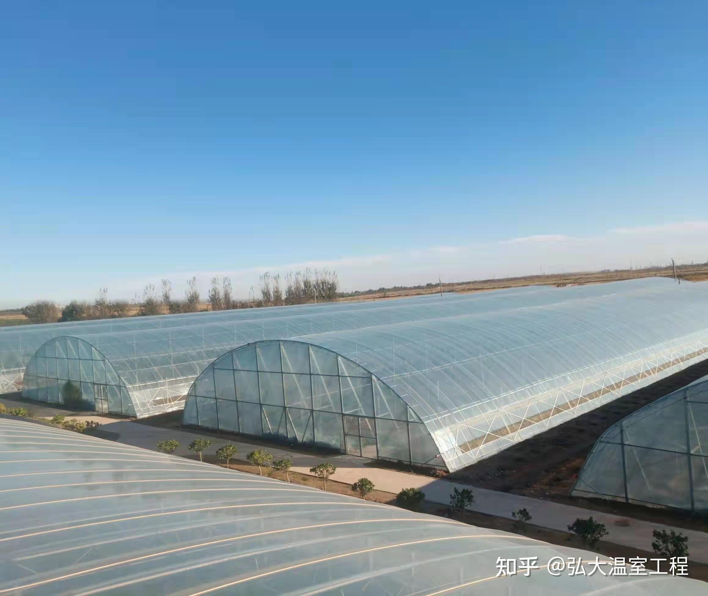 应运而生多种温室大棚类型,例如:经济适用的简易薄膜大棚,单体连栋拱