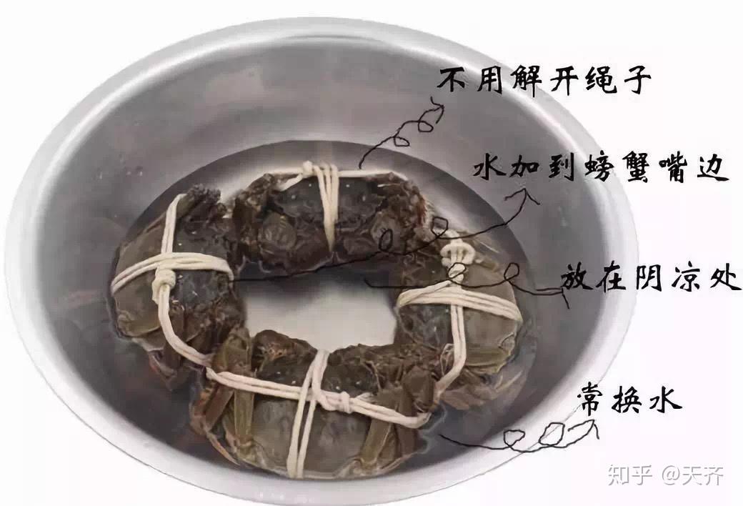 收到大闸蟹后如何检查保存以及烹饪大闸蟹