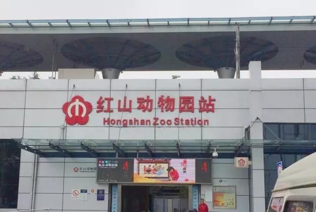 ▼/红山动物园/谁敢再喊大乡下,万谷慧,拿铁香.8路黑车,挤挤还能上.