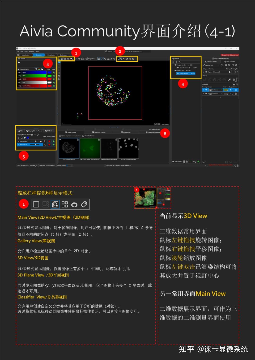 Aivia Community：免费神器，轻松玩转3D/4D数据！ - 知乎