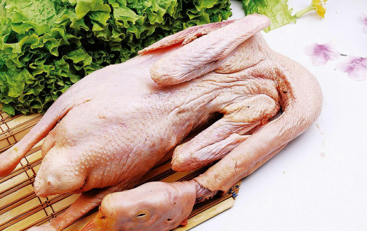 吃鹅还能养生带你探究鹅健康与美味并存的制作秘诀