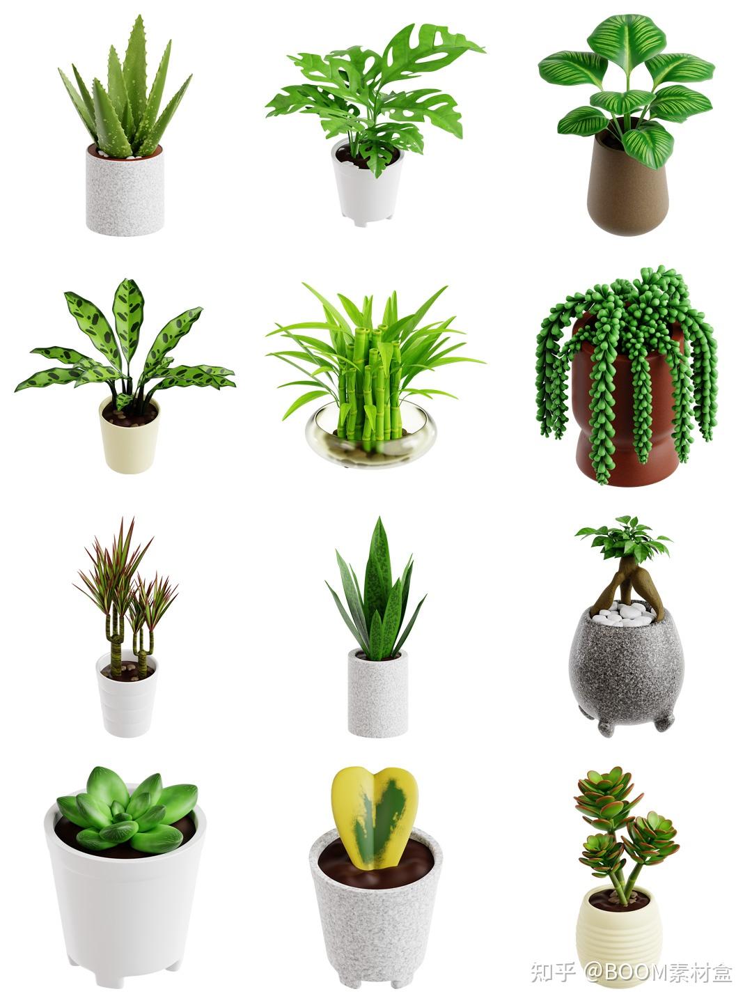 素材分享丨卡通创意室内绿植植物盆栽3D插图icons图标OBJ格式PNG免抠素材 - 知乎