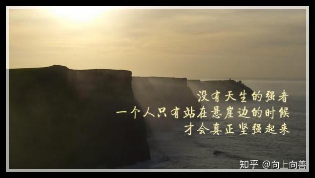v2-2c7787cd1b429178e641f81334d2430e_r.jpg