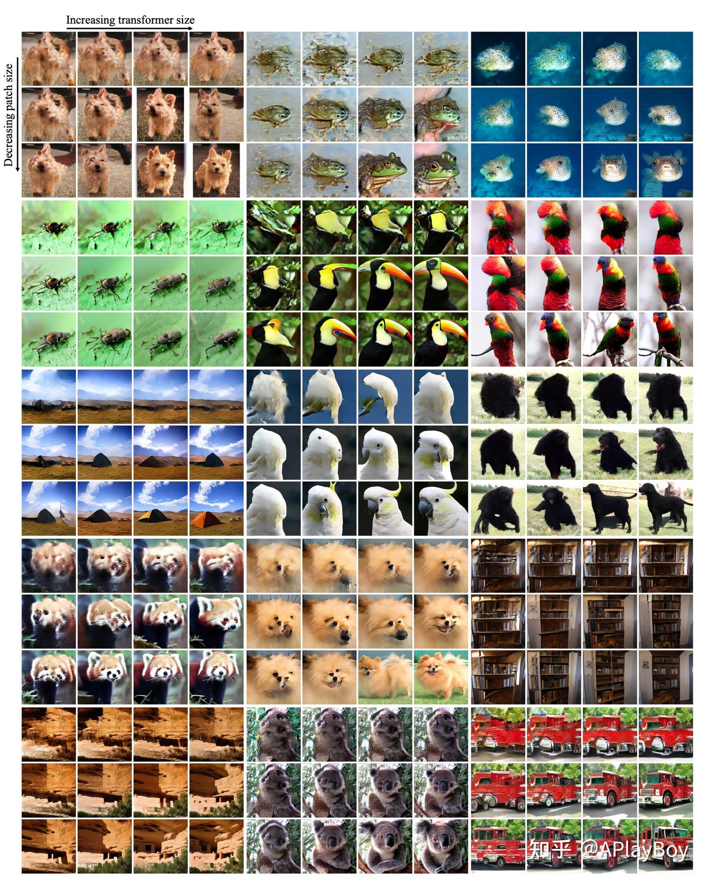 Sora的核心工作DiT: Scalable Diffusion Models with Transformers 全文解读 - 知乎